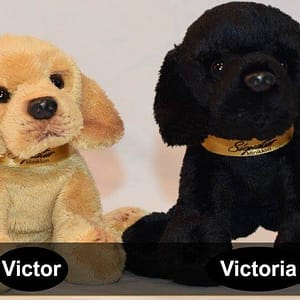 Signaturklinikken Victor & Victoria - Offisielle maskoter