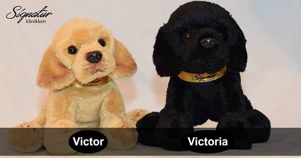 Signaturklinikken Victor & Victoria - Offisielle maskoter